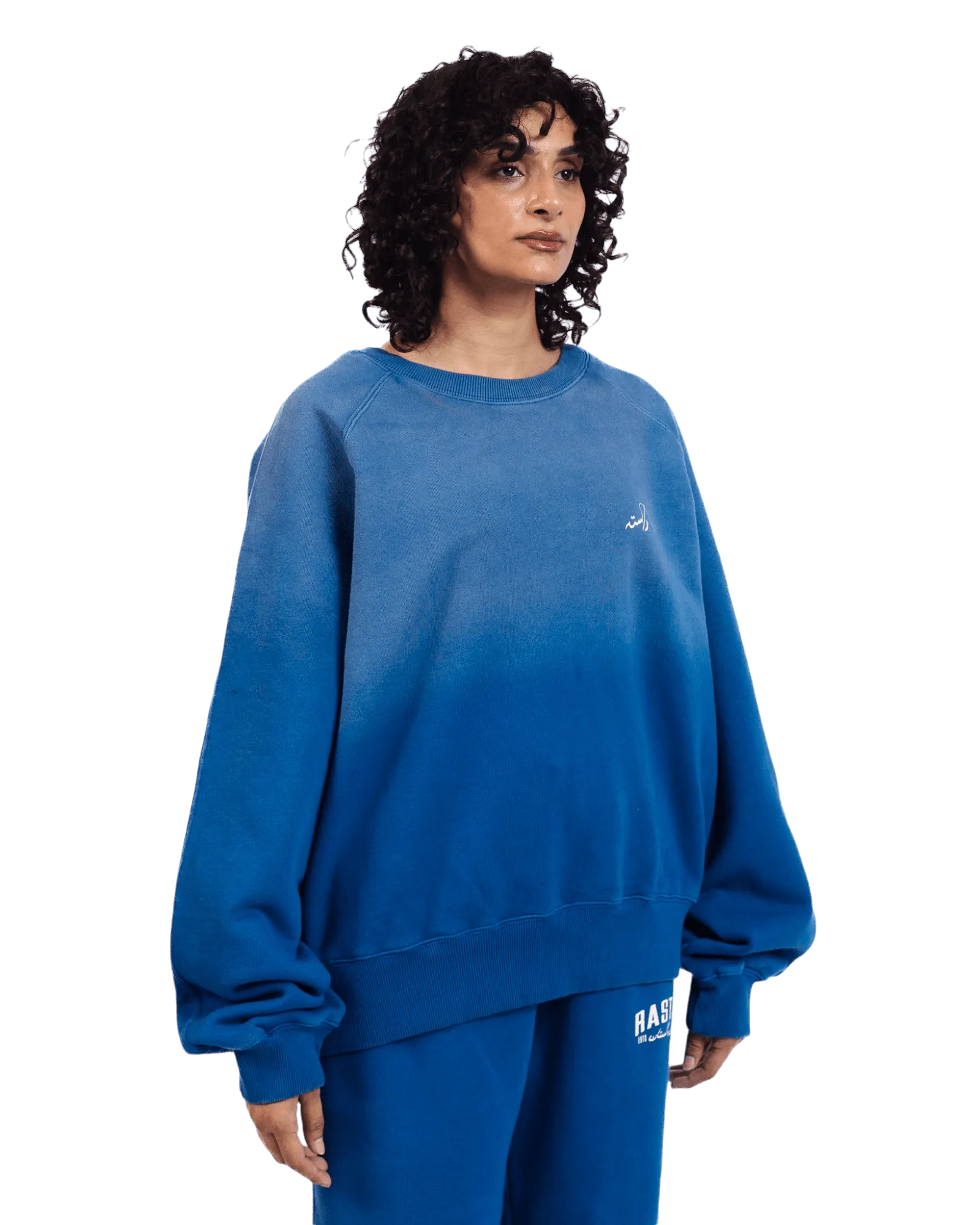 FADED BLUE MADE IN PAK SWEATSHIRT (v3)